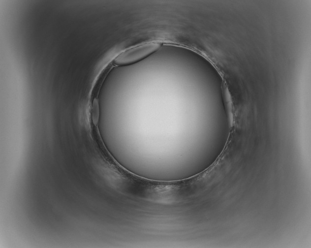 X0000111630152200907171534