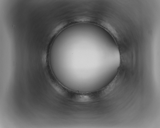 X0000111630159200907171534