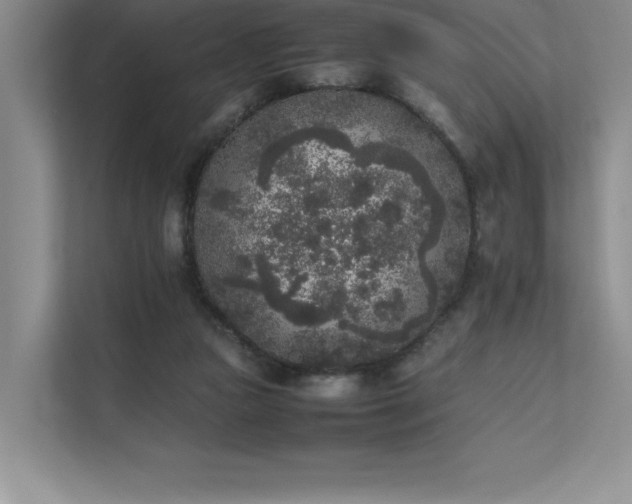 X0000111630161200907171534