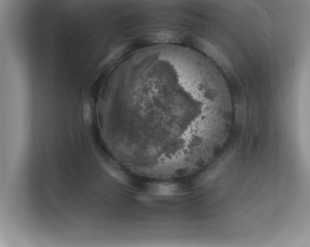 X0000111630165200907171534