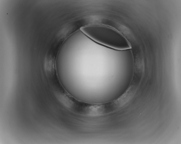 X0000111630172200907171534