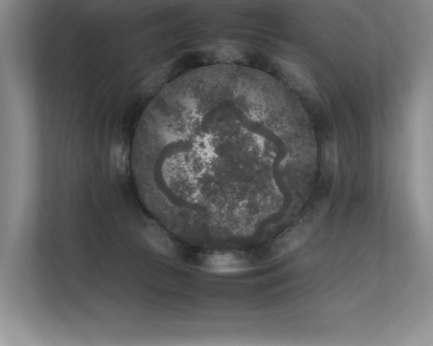 X0000111630177200907171534