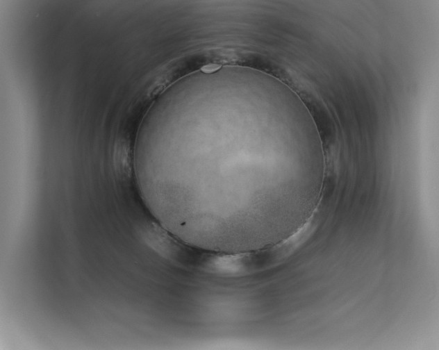 X0000111630178200907171534