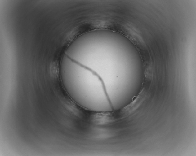 X0000111630179200907171534