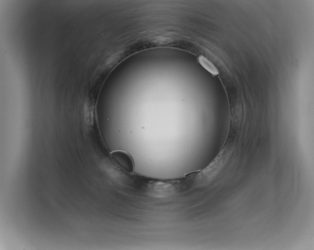 X0000111630180200907171534