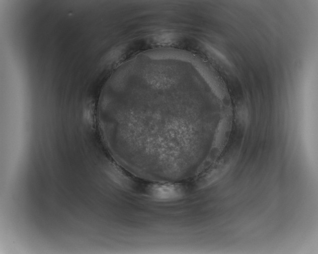 X0000111630181200907171534