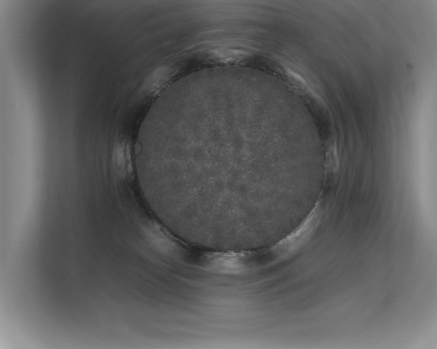 X0000111630182200907171534