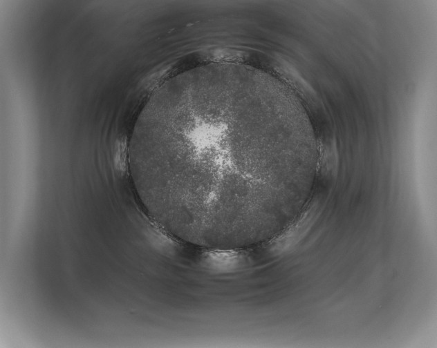 X0000111630189200907171534