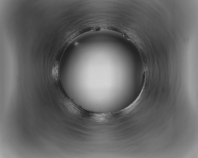 X0000111630190200907171534