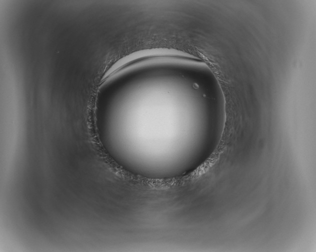 X0000111630192200907171534