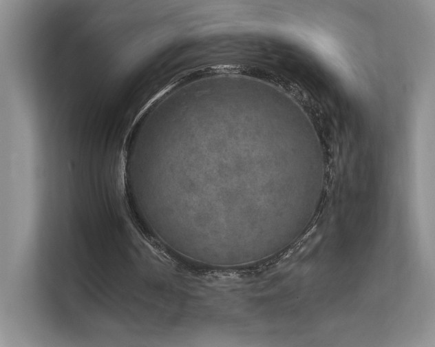 X0000111630194200907171533