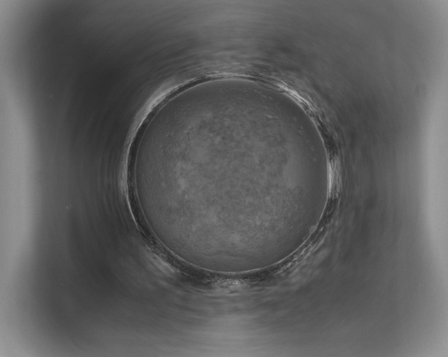 X0000111630195200907171533