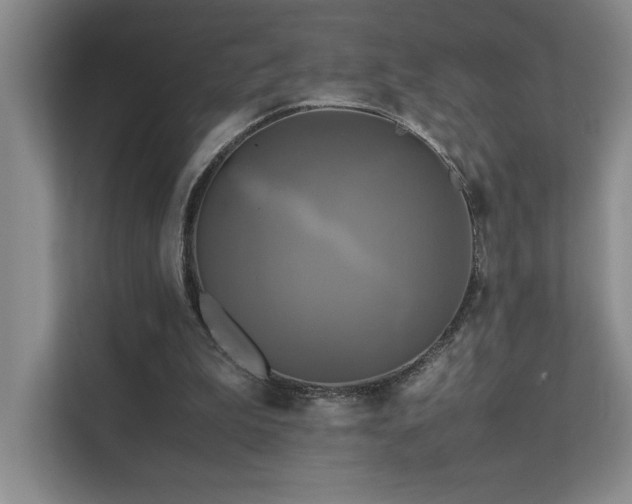 X0000111630199200907171533