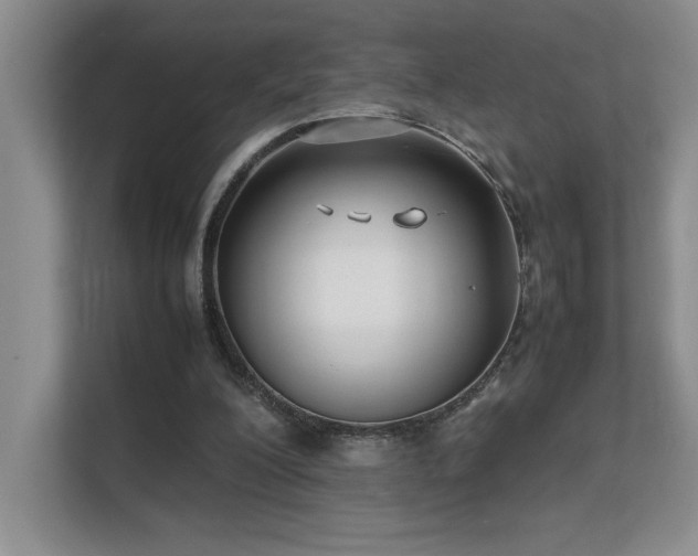 X0000111630200200907171533