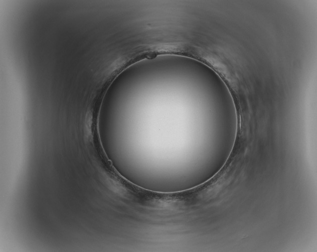 X0000111630201200907171533