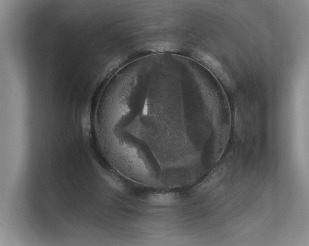 X0000111630202200907171533