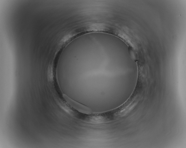 X0000111630203200907171533