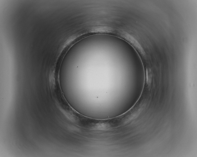 X0000111630204200907171533