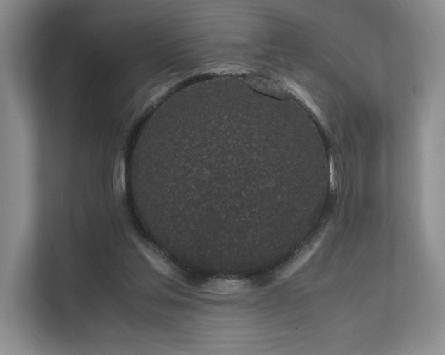 X0000111630205200907171533