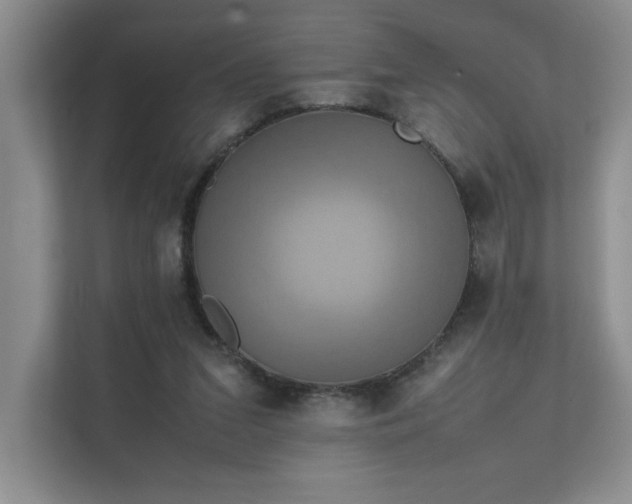 X0000111630207200907171533