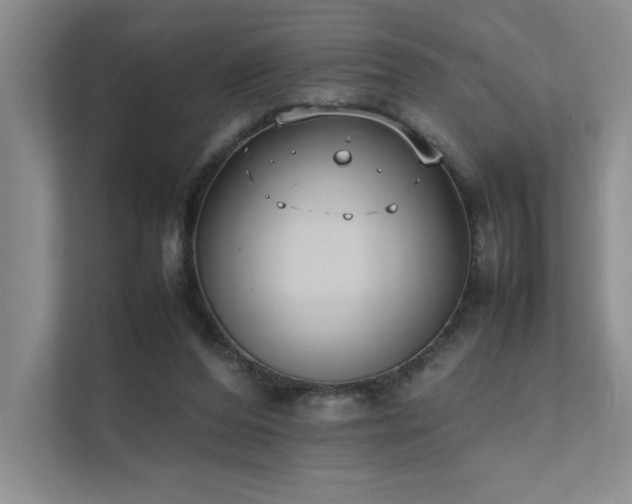 X0000111630208200907171533