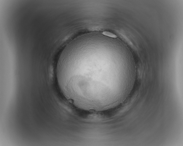 X0000111630211200907171533