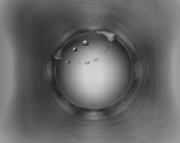 X0000111630212200907171533