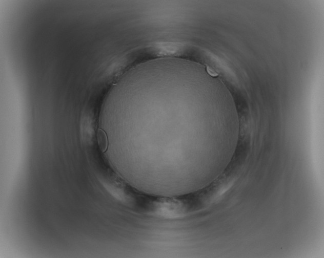 X0000111630215200907171533