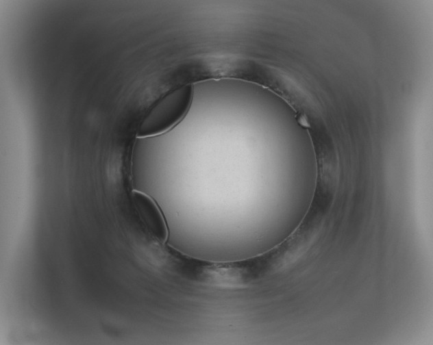 X0000111630221200907171533