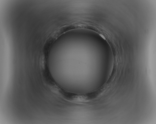 X0000111630223200907171533