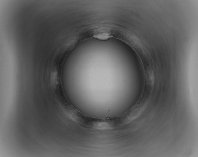 X0000111630224200907171533