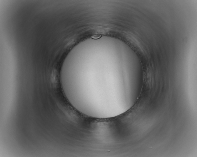 X0000111630228200907171533