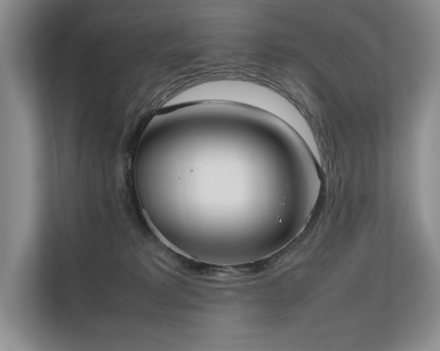 X0000111630229200907171533