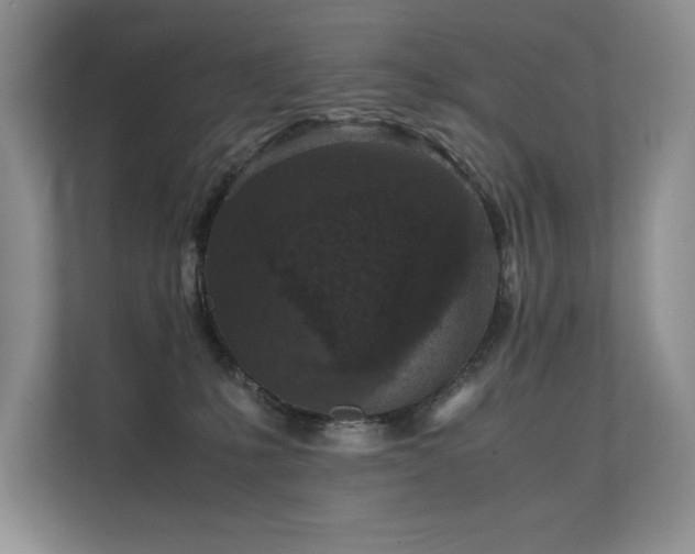 X0000111630231200907171533