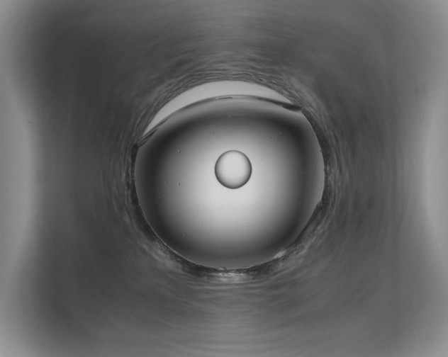 X0000111630233200907171533