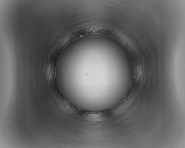 X0000111630236200907171533