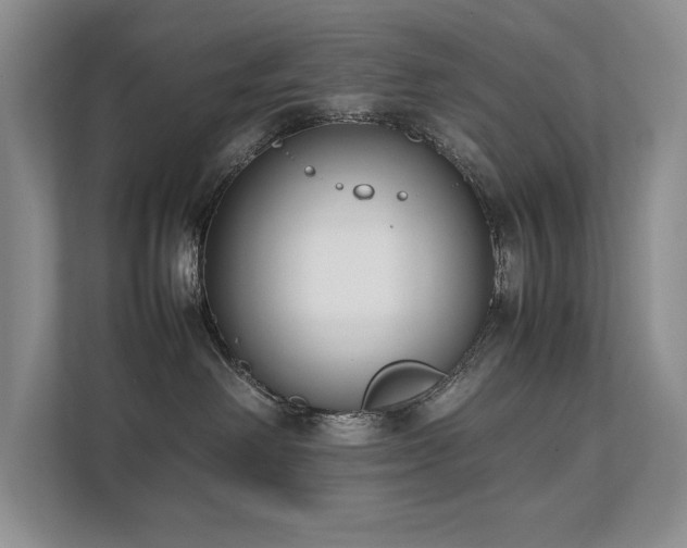 X0000111630238200907171533