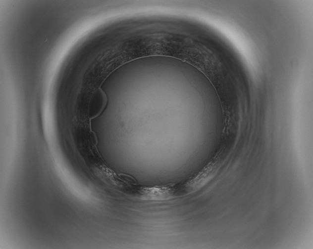 X0000111630239200907171533