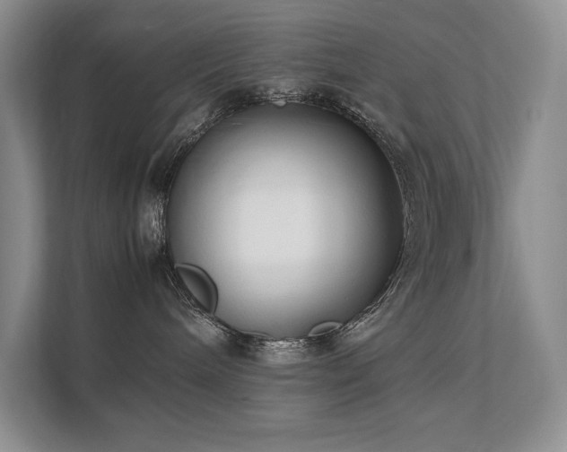 X0000111630240200907171533