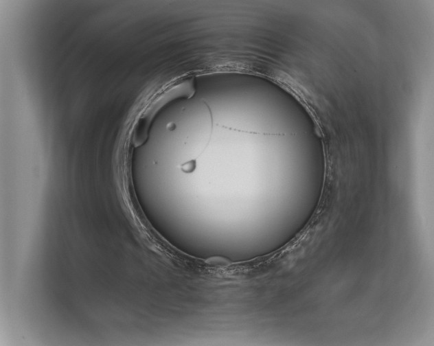 X0000111630241200907171532