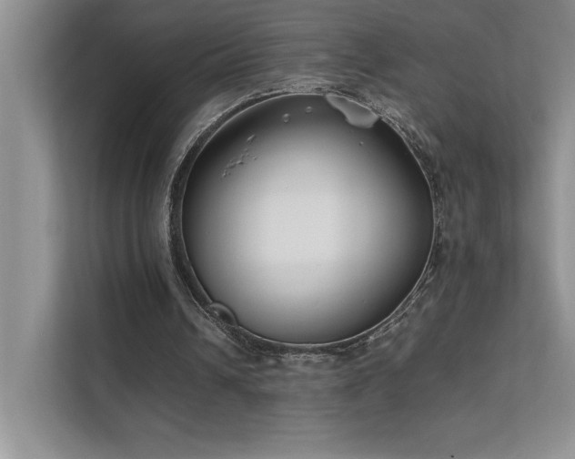 X0000111630242200907171532