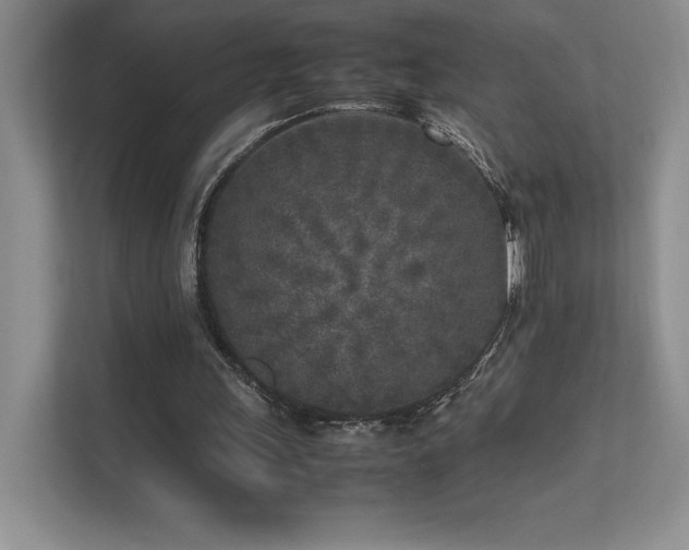 X0000111630243200907171532