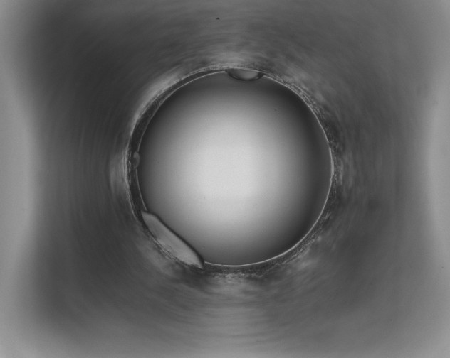 X0000111630244200907171532