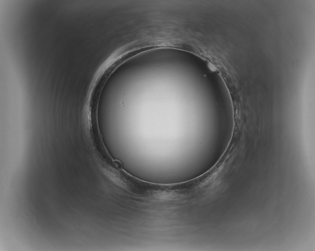 X0000111630246200907171532