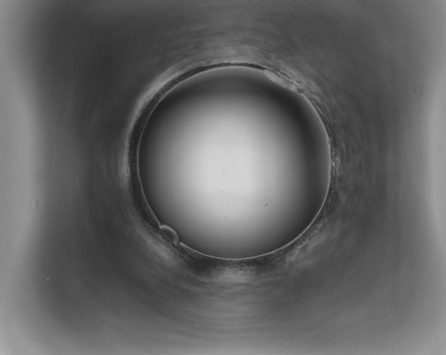 X0000111630248200907171532