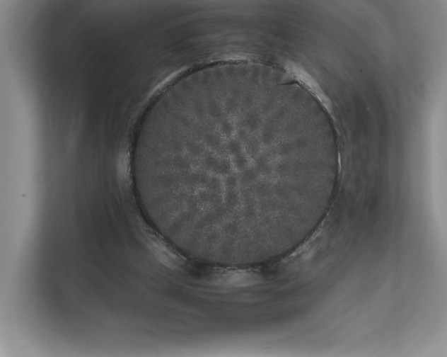 X0000111630249200907171532