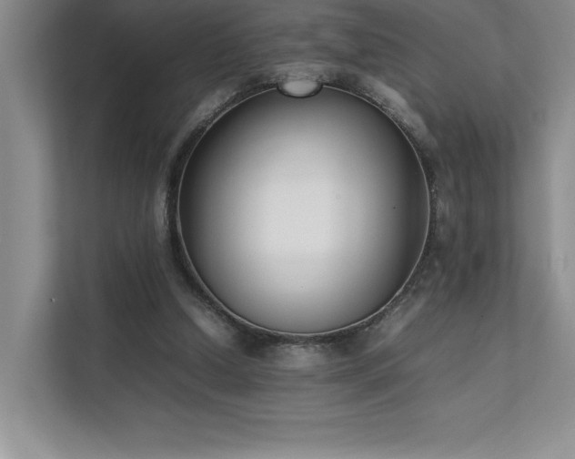 X0000111630250200907171532