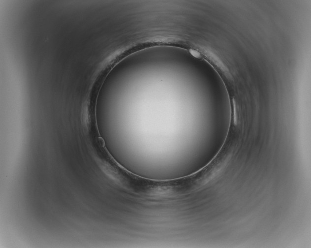 X0000111630252200907171532