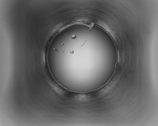 X0000111630253200907171532