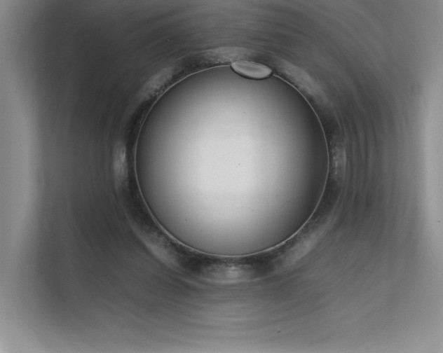 X0000111630254200907171532